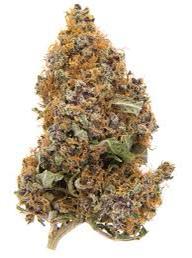 Order Grand Daddy Purple Strain