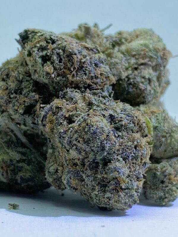 Buy Snow Montana Strain