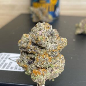 Buy Biscotti Gushers Strain Online