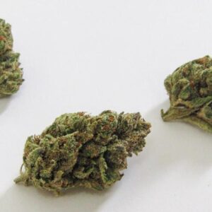 Buy RS11 Strain Online