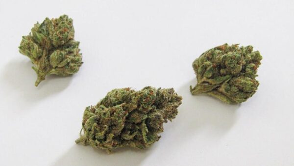 Buy RS11 Strain Online
