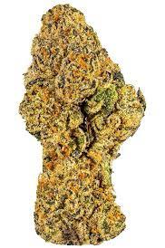 Buy Wedding Cake Strain Online