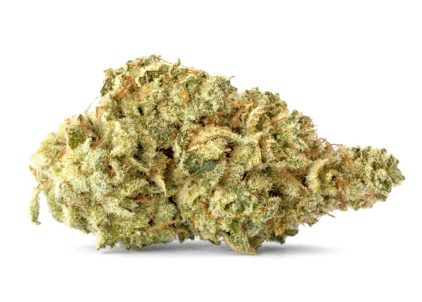 Buy Colombian Gold Strain Online
