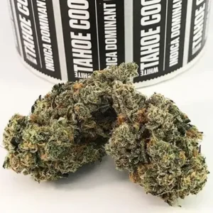 White Tahoe Cookies Strain In USA