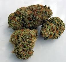 Buy Sour Tangie Strain Online