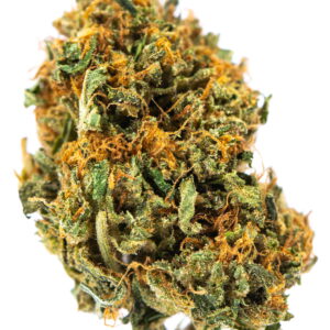 Hawaiian Afghan Strain