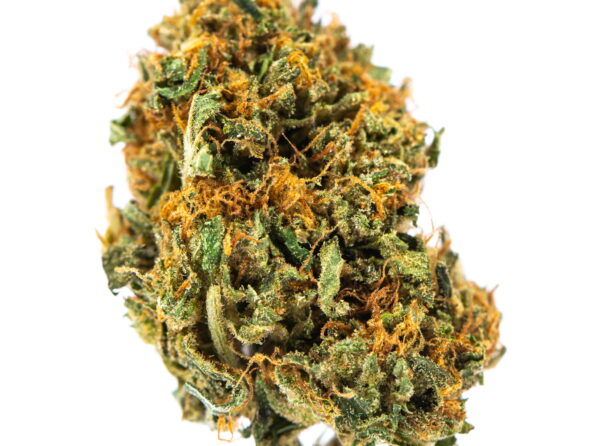 Hawaiian Afghan Strain